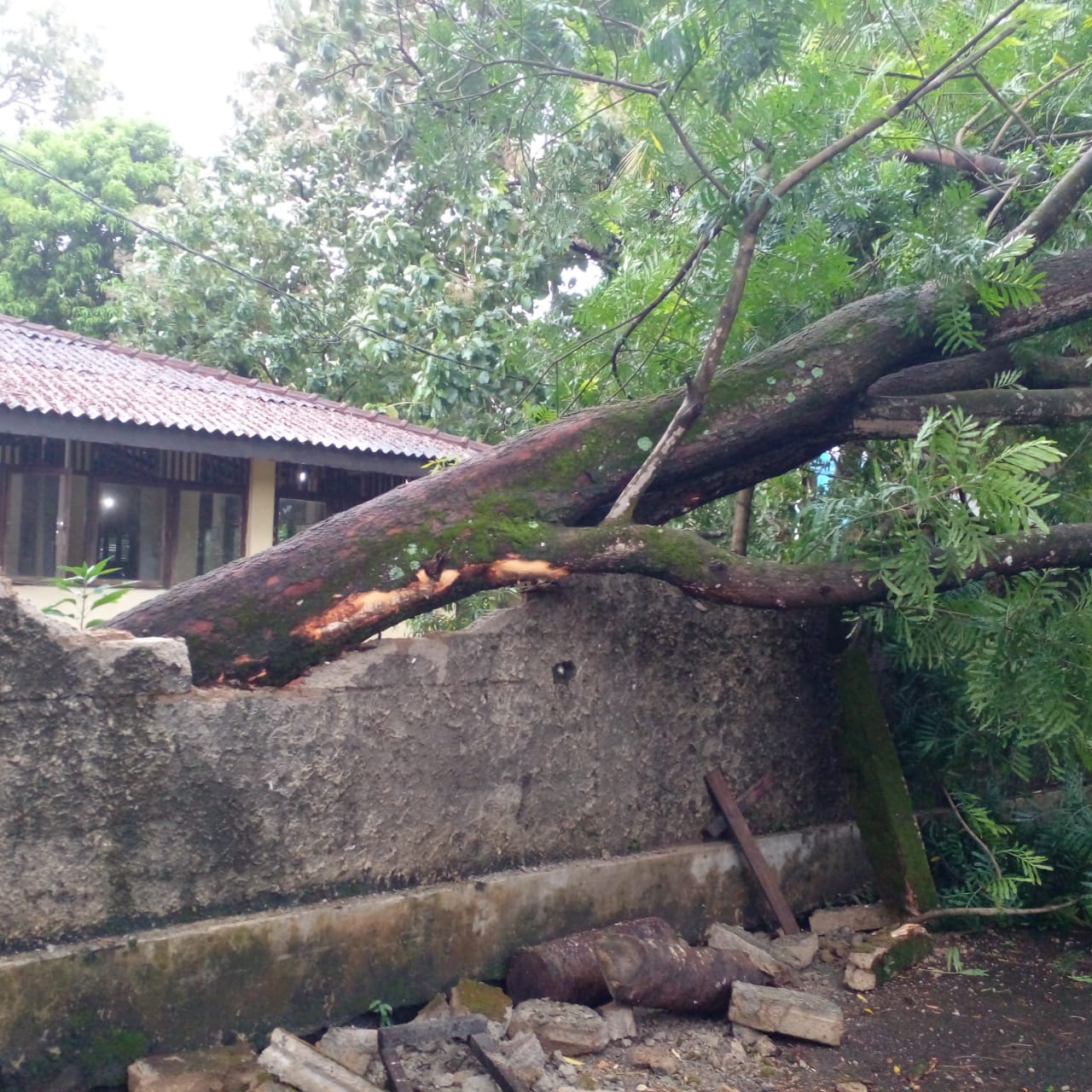 Kaluthra Highwind 2024 -10-11 3